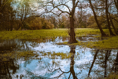 Floodplain